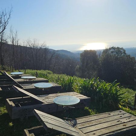 Domaine Colonna-Santini, Gite Piscine, Sauna, Spa Porri ภายนอก รูปภาพ