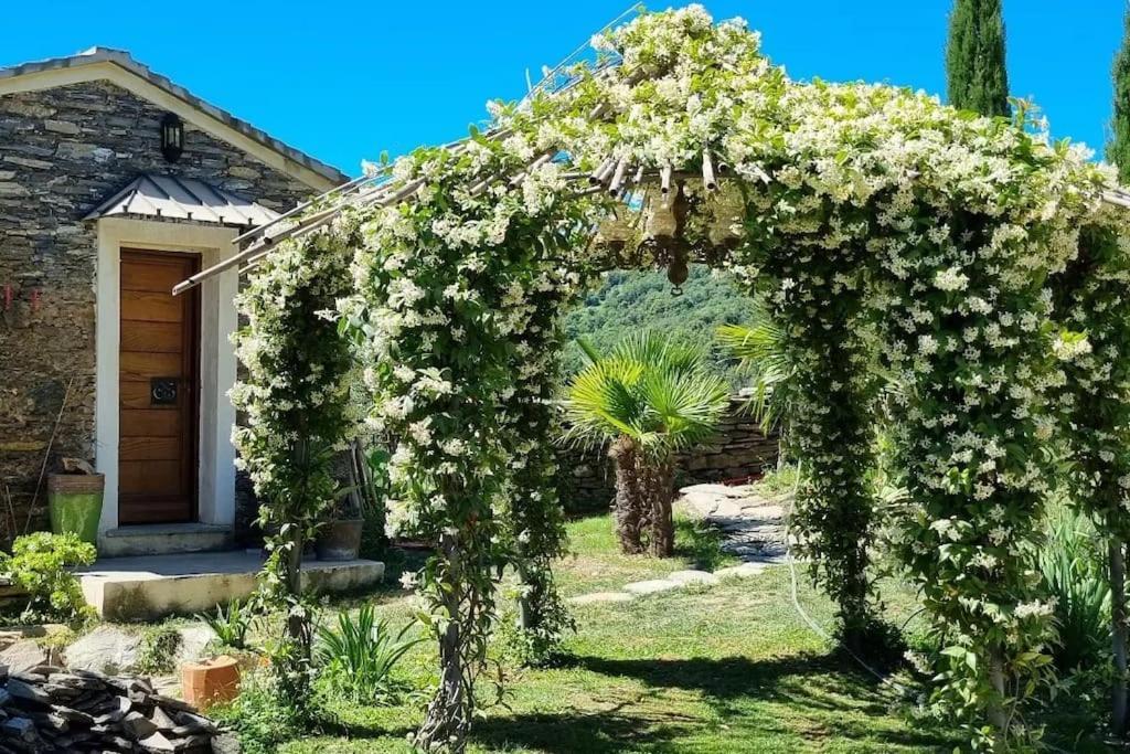 Domaine Colonna-Santini, Gite Piscine, Sauna, Spa Porri ภายนอก รูปภาพ